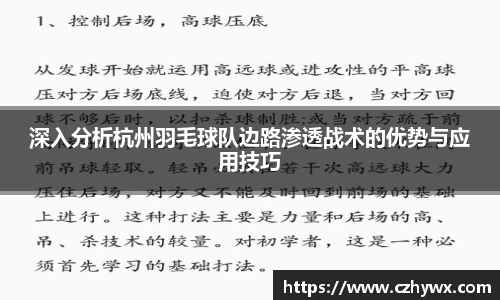 深入分析杭州羽毛球队边路渗透战术的优势与应用技巧