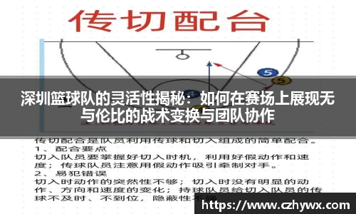 深圳篮球队的灵活性揭秘：如何在赛场上展现无与伦比的战术变换与团队协作